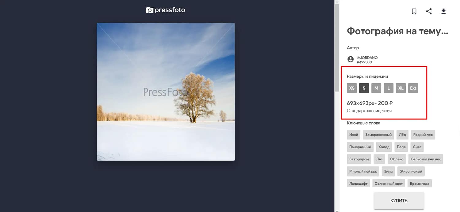 Карточка товара на Pressfoto: при выборе лицензии динамически меняется цена